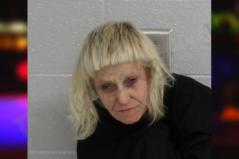Cynthia Shipwash Mugshots