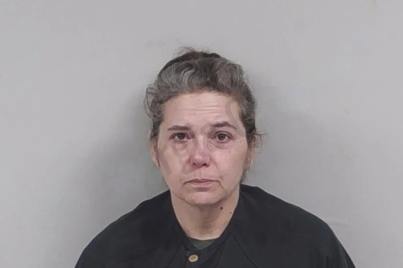 Cynthia Williams Mugshots