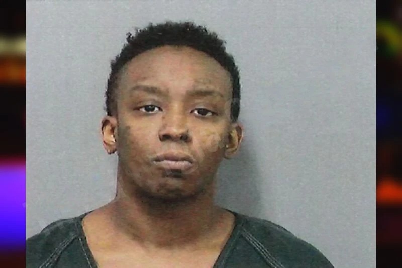 D’Lisa White Mugshots