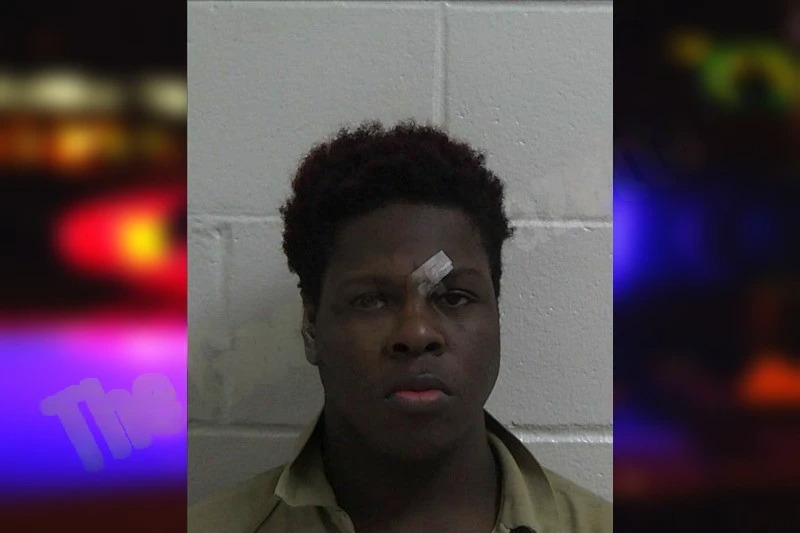 Damarion Smith Mugshots