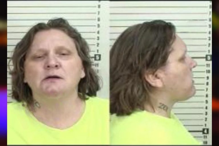 Dana Gibbs mugshot – Camden County , Georgia Dana Gibbs