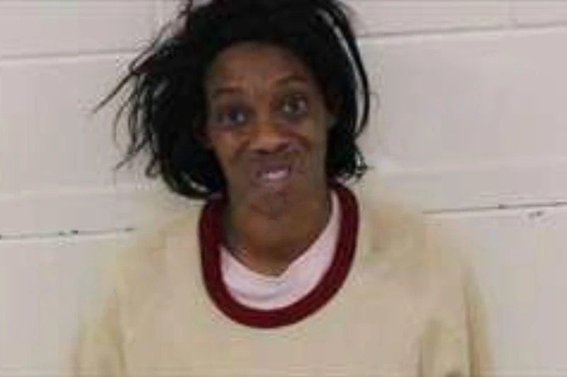 Dana Nelson Mugshots