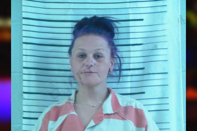 Dana Williams Mugshots