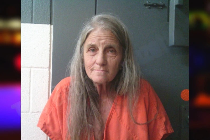 Dani Curl mugshot – Lumpkin County , Georgia Dani Curl mugshot