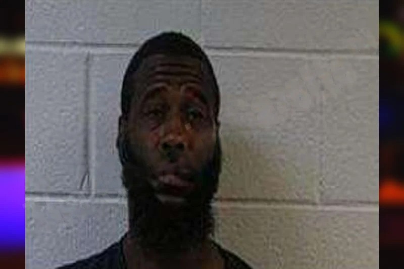 Daniele White Mugshots