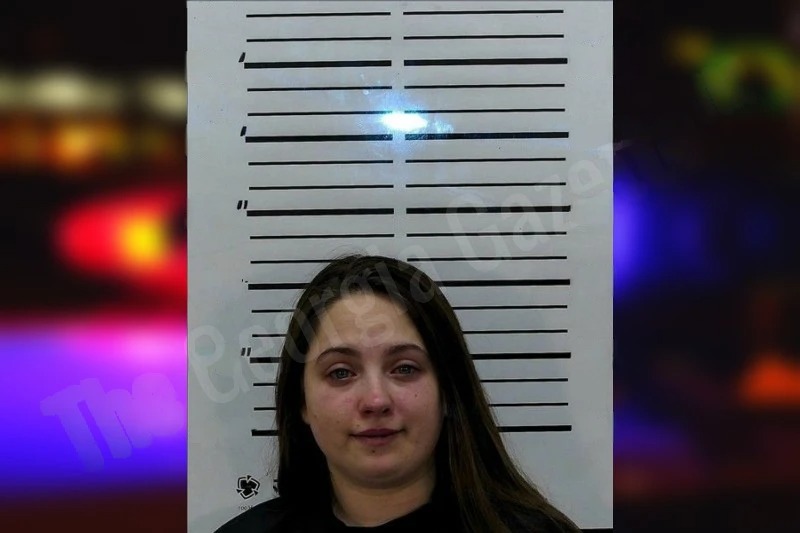 Danielle Johnson Mugshots