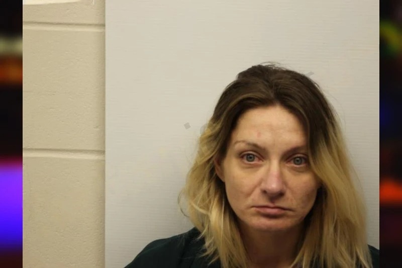 Danielle McGroarty mugshot – Chatham County , Georgia Danielle McGroarty mugshot