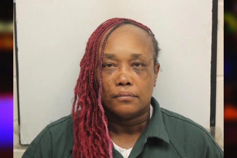 Danielle Smalls Mugshots