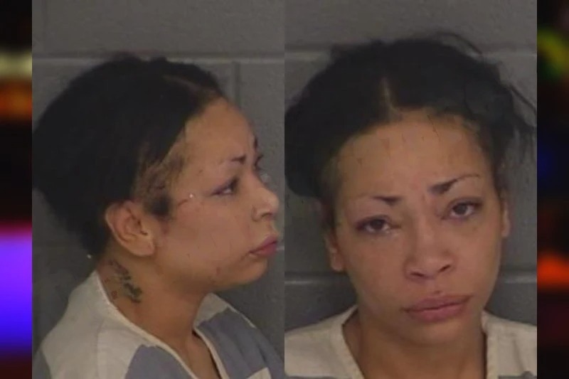 Danita Lemons mugshot – Barrow County , Georgia Danita Lemons mugshot