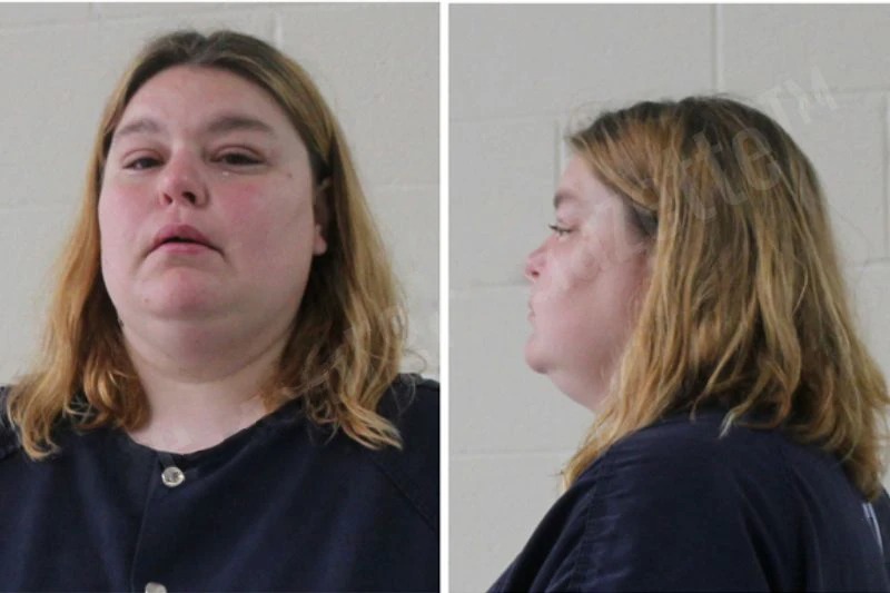 Dannah Howard Mugshots