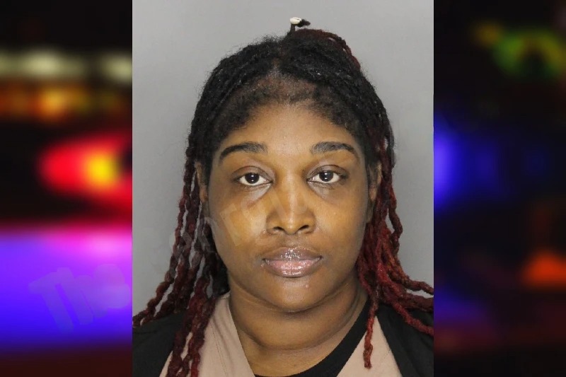 Danyelle Smalls mugshot – Cobb County , Georgia Danyelle Smalls mugshot