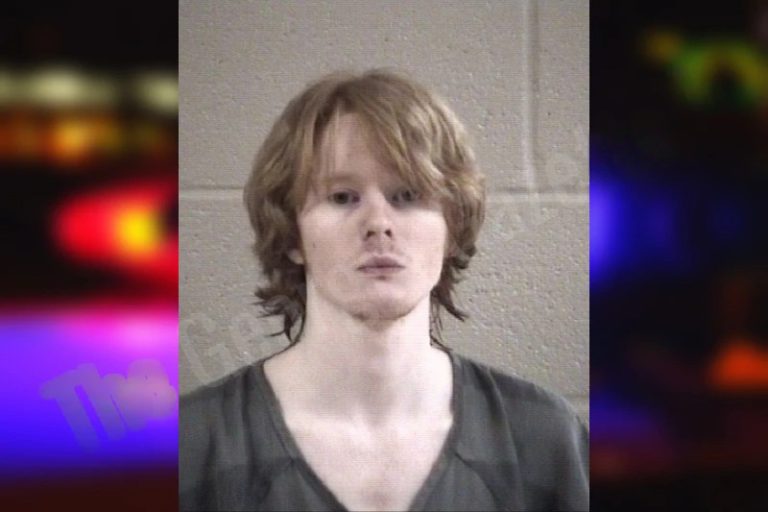 Darby Whitmire mugshot – Whitfield County , Georgia Darby Whitmire