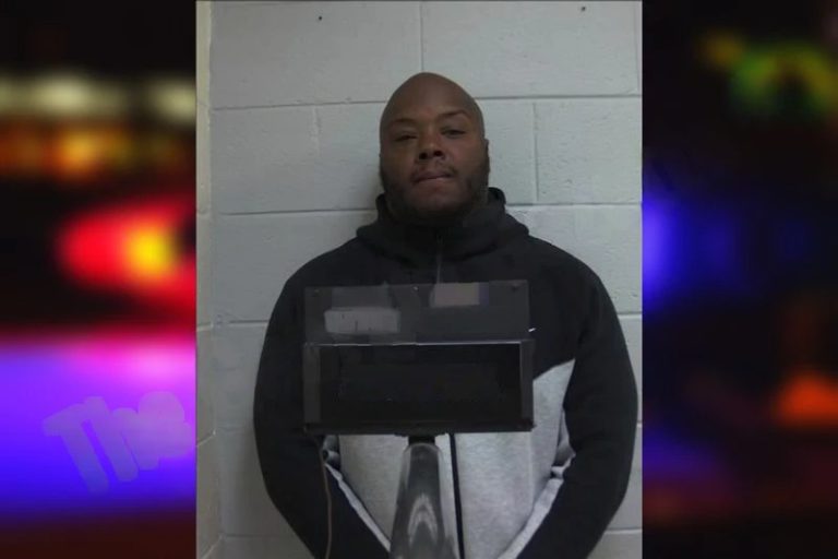 Darcus Lane mugshot – Putnam County , Georgia Darcus Lane