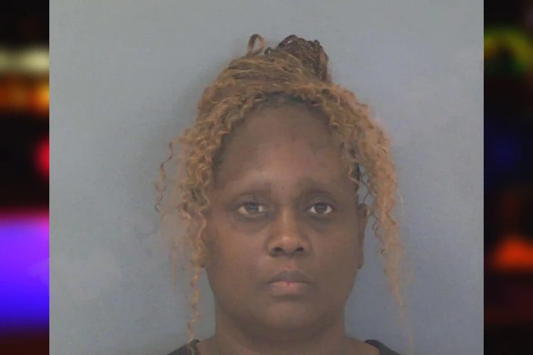 Darlene Ferguson mugshot – Douglas County , Georgia Darlene Ferguson