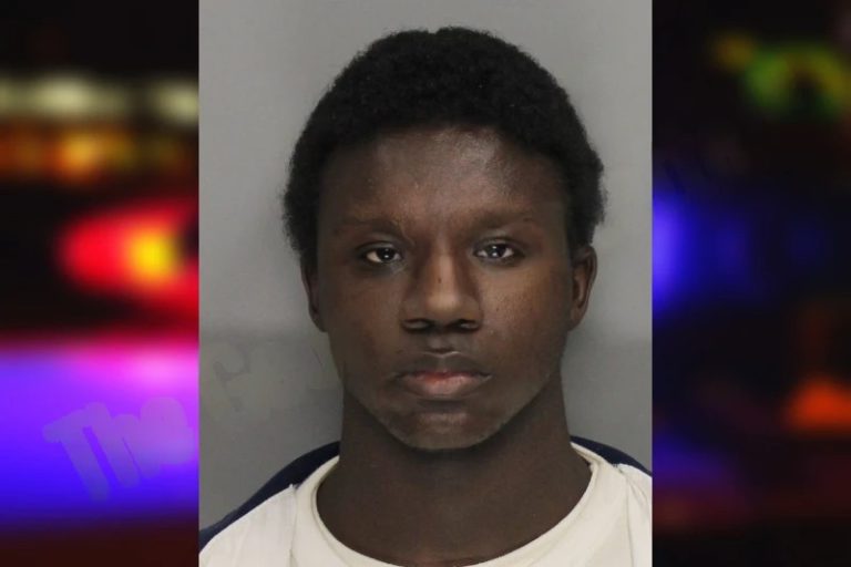 David Lester mugshot – Dougherty County , Georgia David Lester