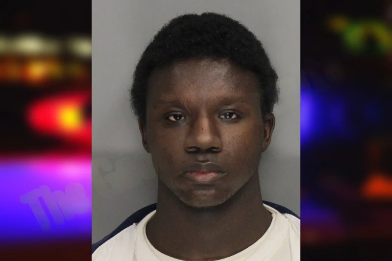 David Lester mugshot – Cobb County , Georgia David Lester mugshot