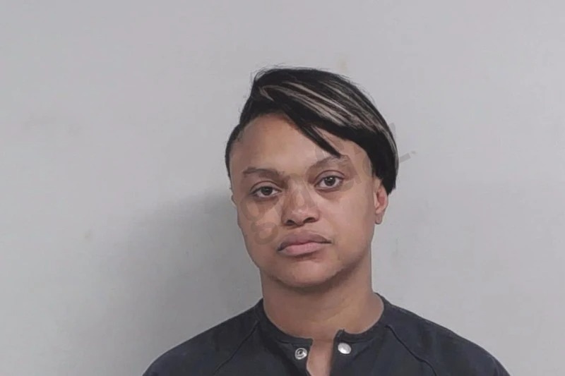 Davisha Johnson Mugshots