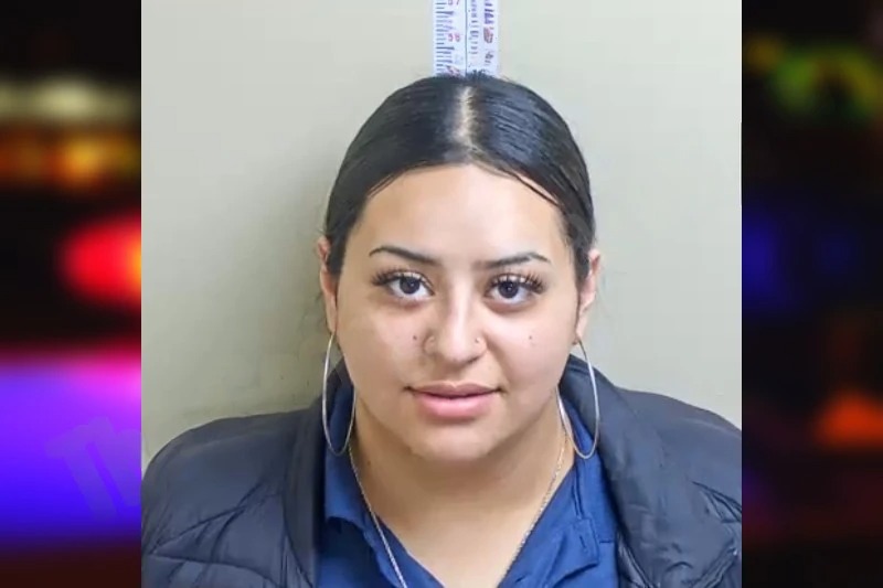 Dayana Alvarez Mugshots