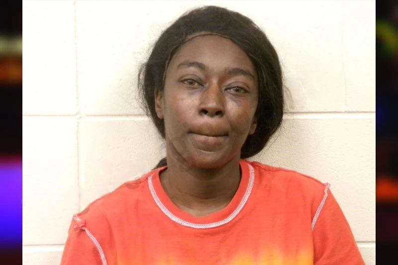 Dayanna Fleming Mugshots