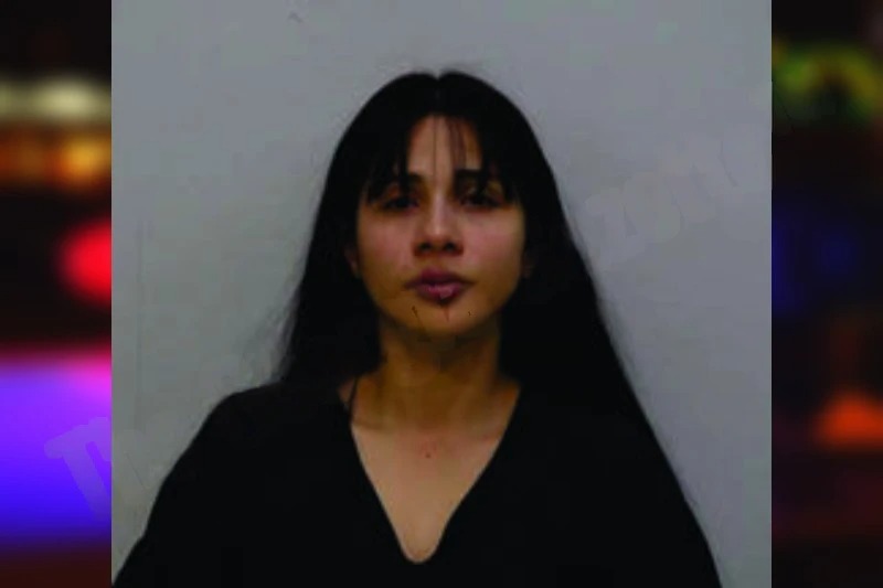 Dayrelis Martinez mugshot – Bartow County , Georgia Dayrelis Martinez mugshot