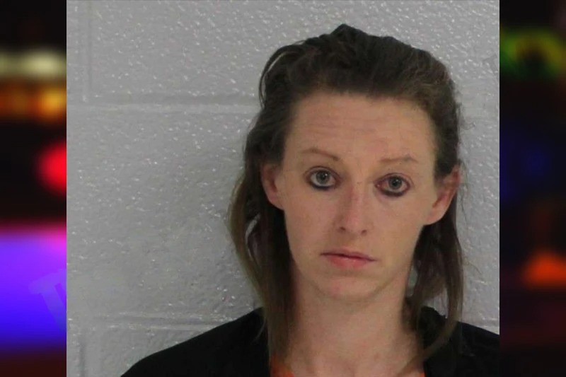 Deanna Taylor Mugshots