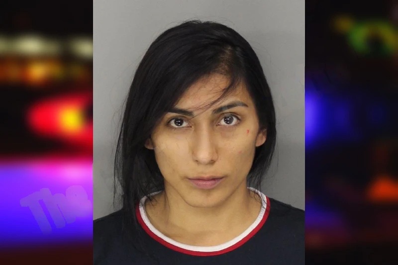 Debora Pena Mugshots