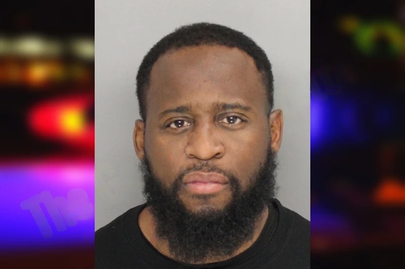 Delon David Mugshots