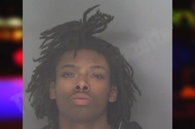 Demaree Ford Mugshots