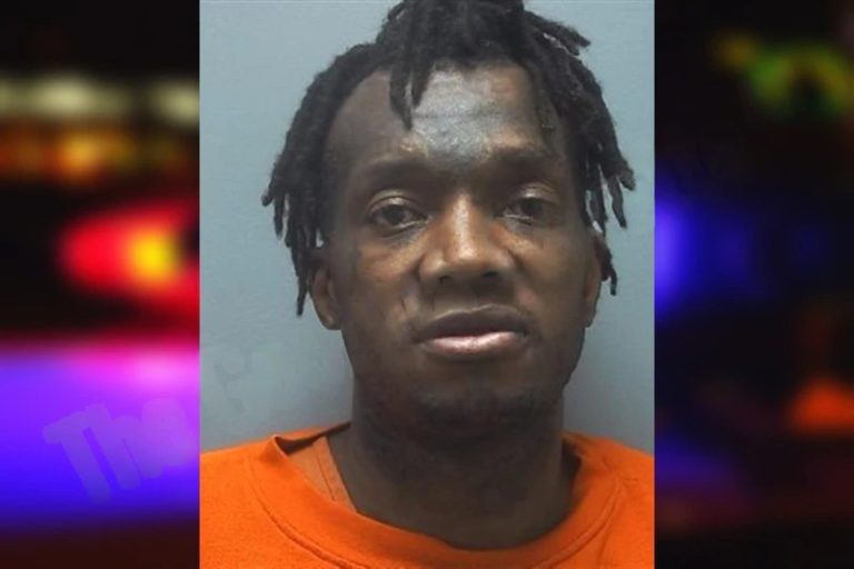 Demetrious Johnson mugshot – Cherokee County , Georgia Demetrious Johnson