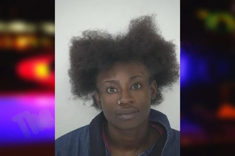 Dennise Owens mugshot – Fayette County , Georgia Dennise Owens