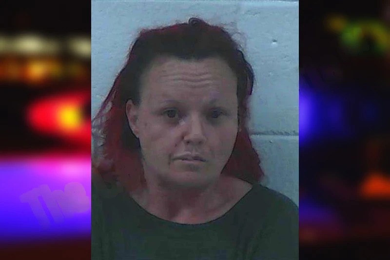 Desaray Combs Mugshots