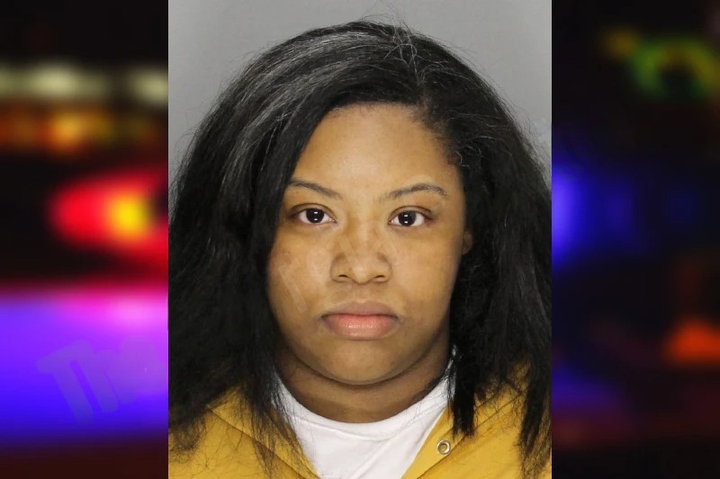 Deshun Springer mugshot – Cobb County , Georgia Deshun Springer mugshot