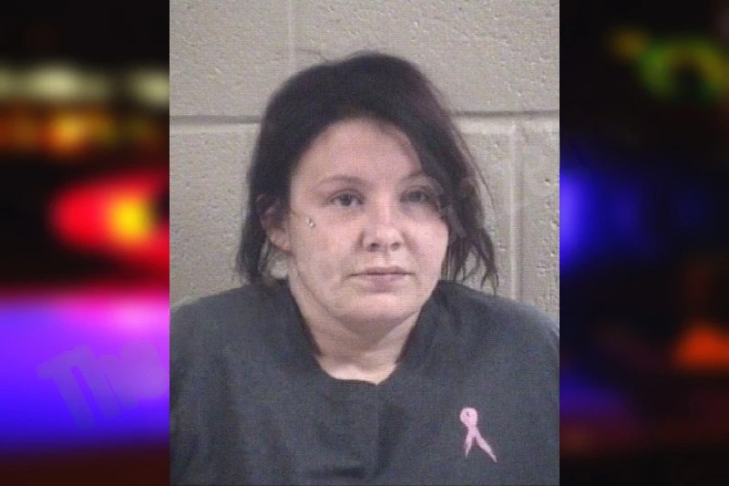 Desiray Warren Mugshots