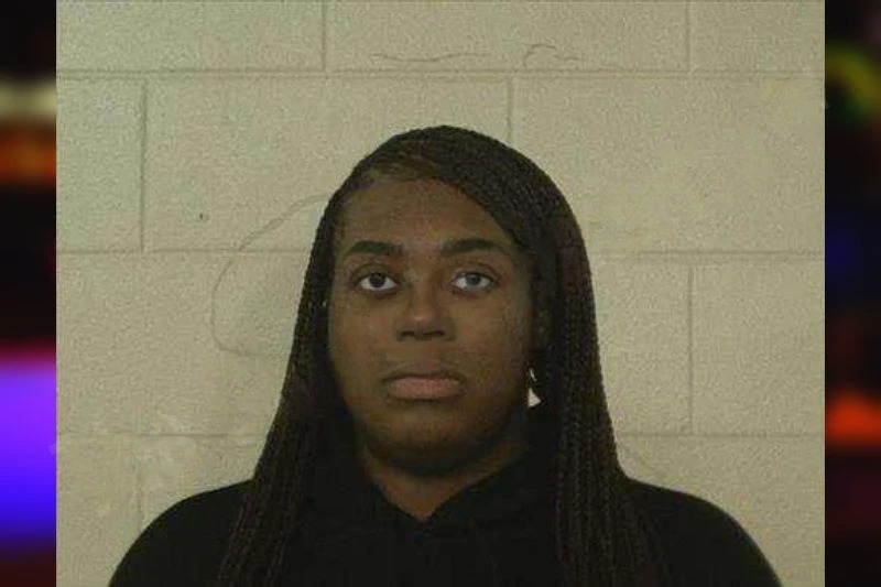 Desiree Holmes Mugshots