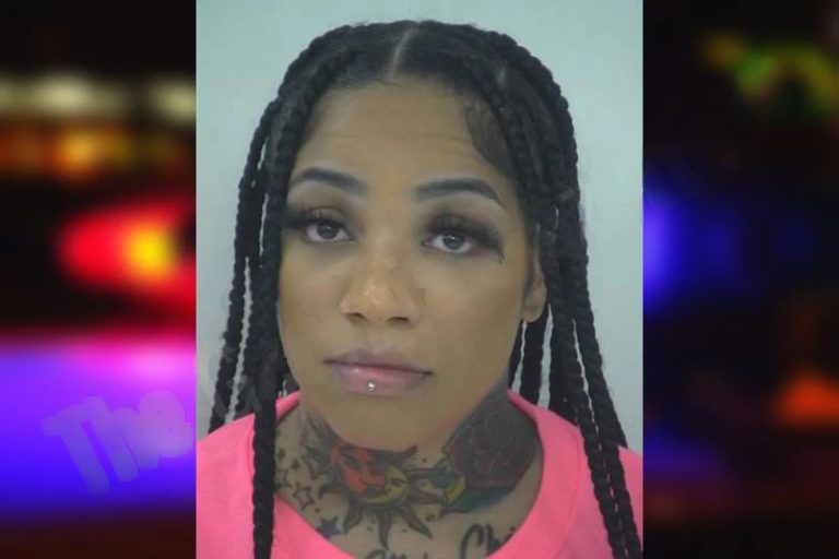 Destinee McHenry mugshot – Fayette County , Georgia Destinee McHenry