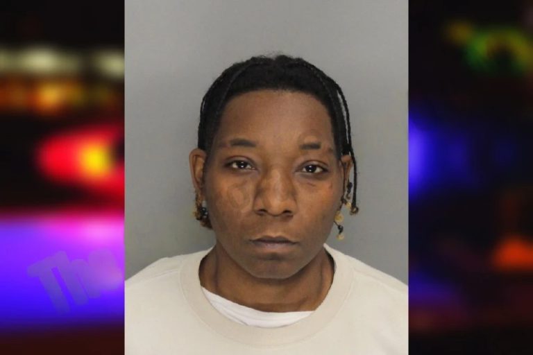 Destini Russ mugshot – Paulding County , Georgia Destini Russ