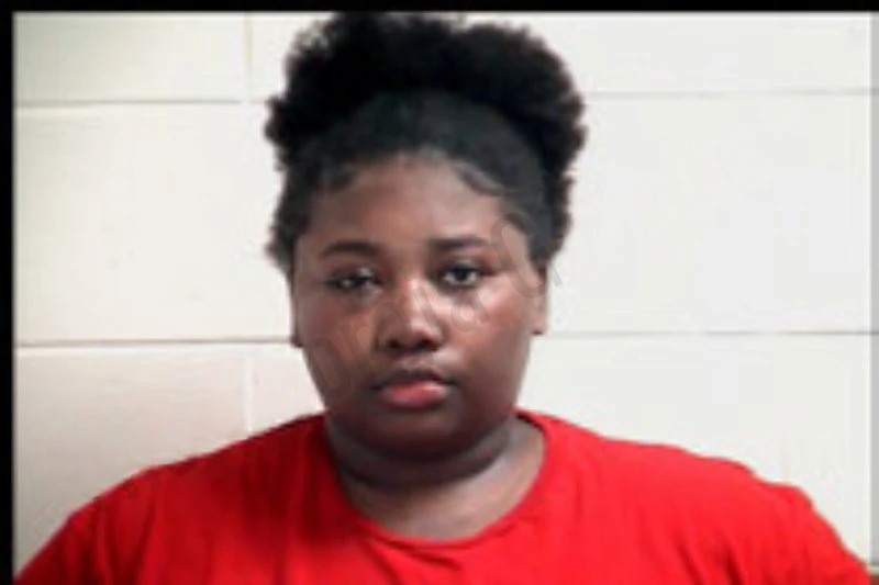 Destinie Boyd mugshot – Henry County , Georgia Destinie Boyd mugshot