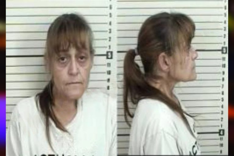 Destiny Sopha mugshot – Camden County , Georgia Destiny Sopha