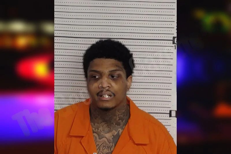 Devin Ravello mugshot