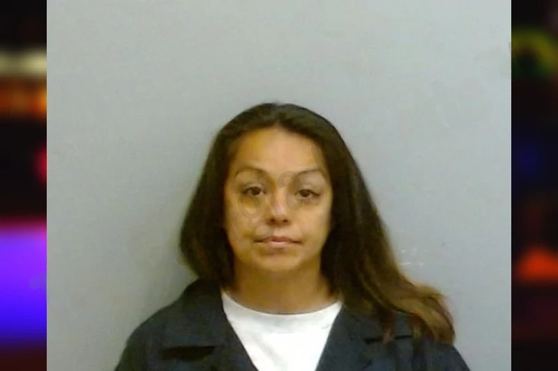 Diana Irby mugshot – Fulton County , Georgia Diana Irby mugshot