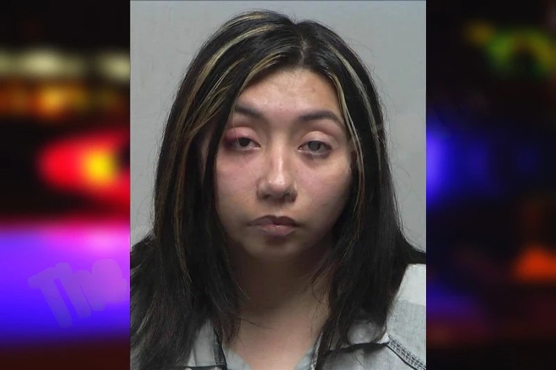 Diana Perea-Ramirez Mugshots