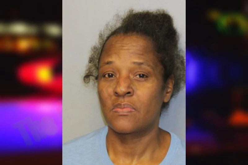 Diane Hamilton mugshot