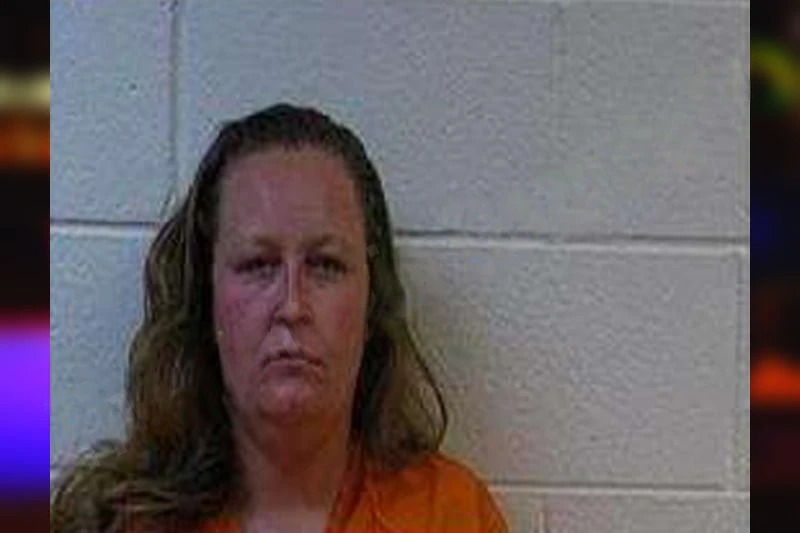 Diane Striplin mugshot – Polk County , Georgia Diane Striplin mugshot