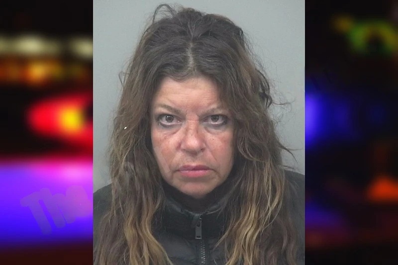 Dina Aldrich Mugshots