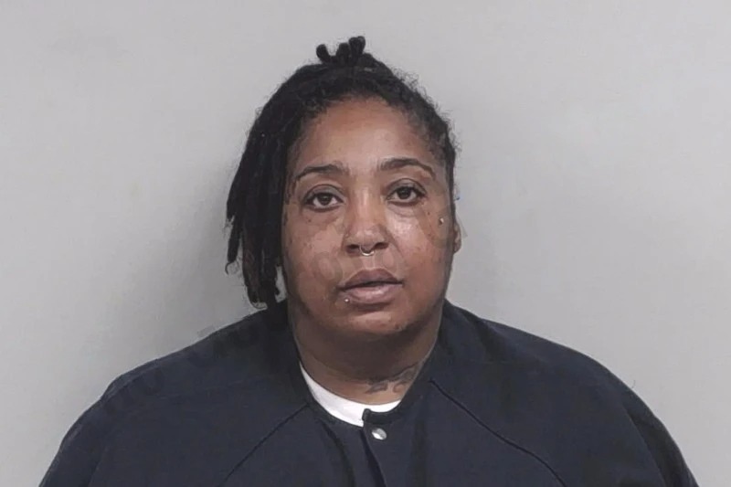 Dinah McCoggle Mugshots