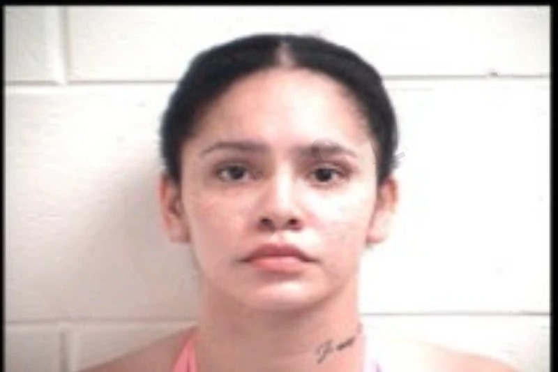 Dionne Banks mugshot – Henry County , Georgia Dionne Banks mugshot