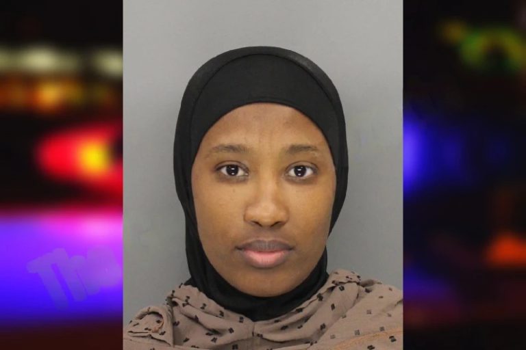 Djamila Diallo mugshot – Fayette County , Georgia Djamila Diallo