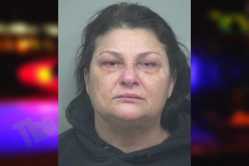 Donna Raines Mugshots