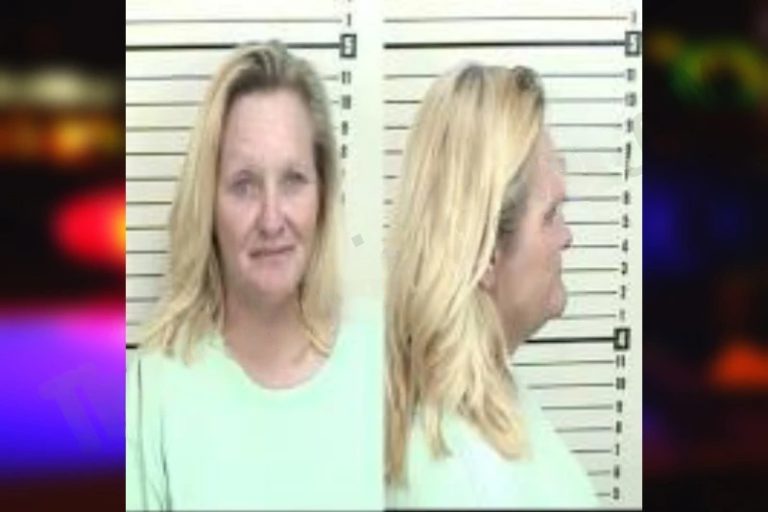 Donna Screws mugshot – Camden County , Georgia Donna Screws