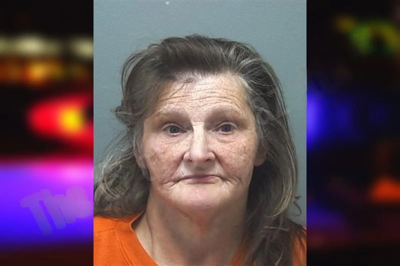 Donna Smith mugshot – Cherokee County , Georgia Donna Smith mugshot